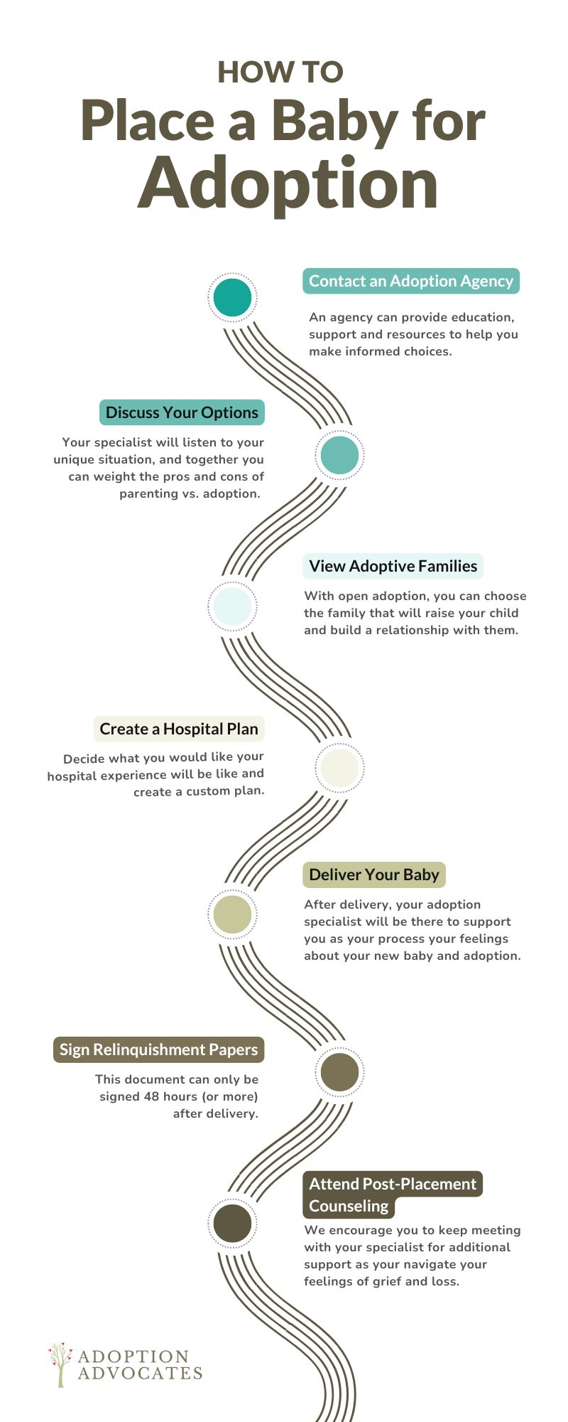 infographic showing step by step process of making an adoption plan