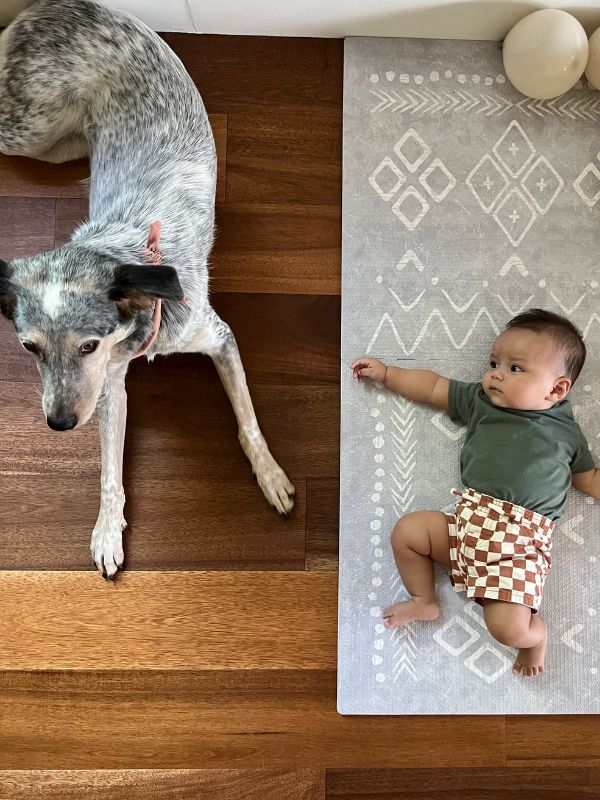 adopted son with family dog, a blue heeler